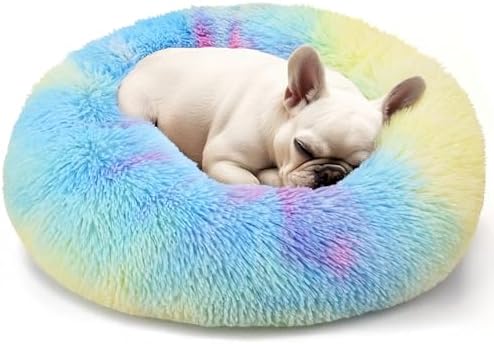 Hoewina Dog & Cat Bed, 20in Cat Beds for Indoor Cats (Rainbow)