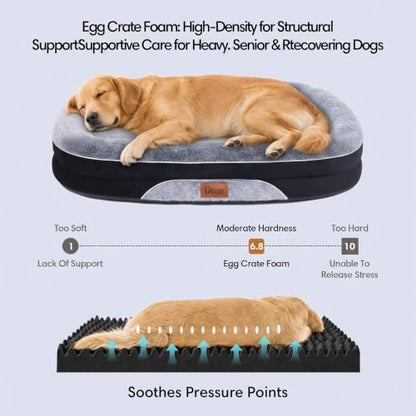 Orthopedic Dog Beds Large Sized Dog, Washable Dog Bed, 48" L, Black