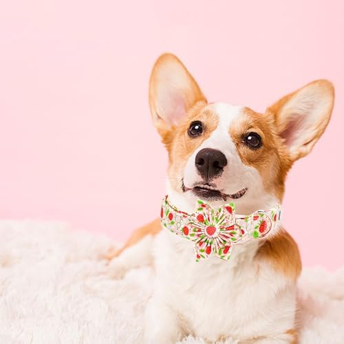 Dog Collar-Strawberry Print Adjustable Cute Pet Collar Soft Pink Dog Collars with Flower Durable Cotton Metal Buckle Puppy Collar Gift for X-Small Dogs