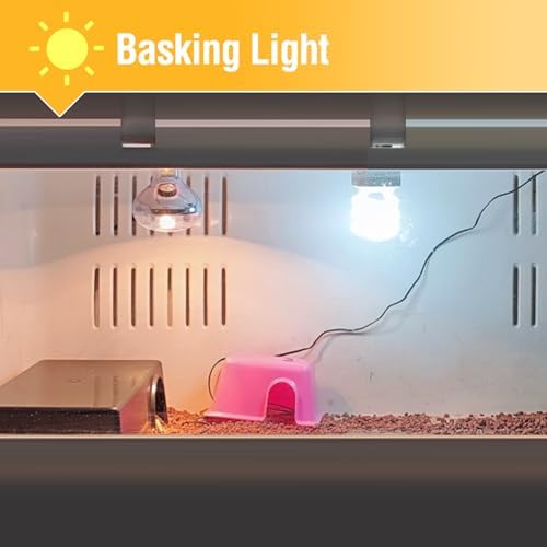 Leoterra 75W Reptile Heat Lamp Bulb, UVA Basking Spot Light for Bearded Dragon, Turtle, Lizard, Snake Terrarium, Daytime Heating Bulb for 20-40 Gallon Tanks, E26 Base, 2-Pack