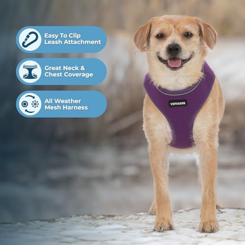Voyager Aerolite Over The Head Dog Harness, No Pull Breathable Air Mesh Vest, Quick Dry with Reflective Stitching, Adjustable Escape Resistant Harness for Small Medium Large Dogs - Purple, Medium