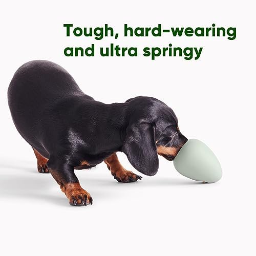 Beco Natural Rubber Bouncy, Chewy & Fillable Boredom Buster Dog Toy, Rolls & Wobbles Stuff with Multiple Fillable Holes, Blue