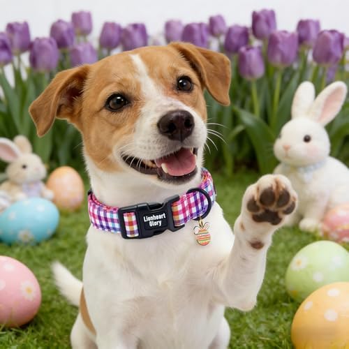Lionheart glory Easter Day Dog Collar - Cute Dog Collars Sturdy Adjustable Buckle Colorful Plaid Collar Male Female Spring Pet Collars for Large Dogs Puppy