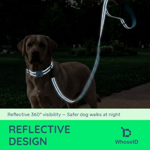 Airtag Dog Collar and Leash Set,Reflective Ultra-Durable Nylon Padded with QR Buckle & IP68 Waterproof Air Tag Holder Compatible for Apple AirTag, Comfortable for Small Medium Large Dogs (Blue Set,S)