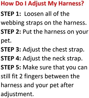 Best Pet Supplies Voyager Adjustable Step-in Flex Breathable Mesh Dog Harness for Small Medium Large Dogs Leash Set (Turquoise), S