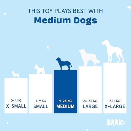 BarkBox Beau the Boar Plush Dog Toy - Toy for Small to Medium Dogs