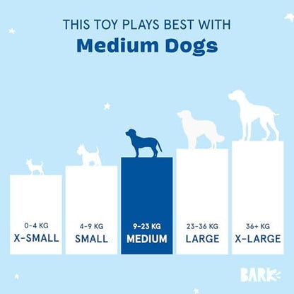 BarkBox Beau the Boar Plush Dog Toy - Toy for Small to Medium Dogs