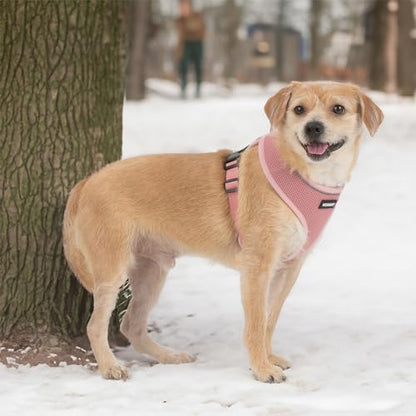 Best Pet Supplies Voyager Aerolite Over the Head Dog Harness, No Pull Breathable Air Mesh Vest, Quick Dry with Reflective Stitching, Adjustable Escape Resistant Harness - Pink, X-Small