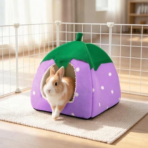 Guinea Pig Hideout Bed, Dwarf Rabbit House Cave