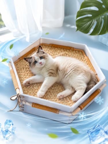 Cooling Cat Bed Handwoven Cat Basket with Removable Cooling Mat & Play Rope
