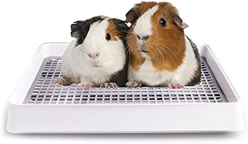Rabbit Litter Box with Grid 15x12in, Potty Training Pan for Small Animals