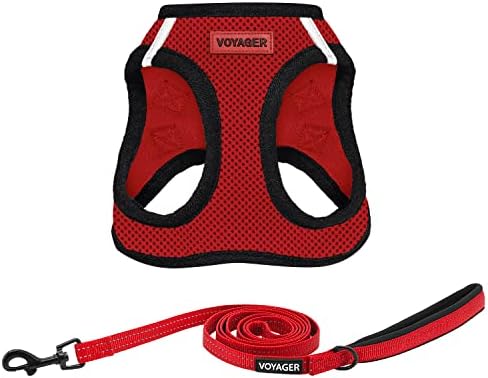 Best Pet Supplies Voyager Step-in Air All Weather Mesh Harness and Reflective Dog 5ft Leash Combo with Neoprene Handle, for Small, Medium and Large Breed Puppies - Red/Black Trim, X-Large