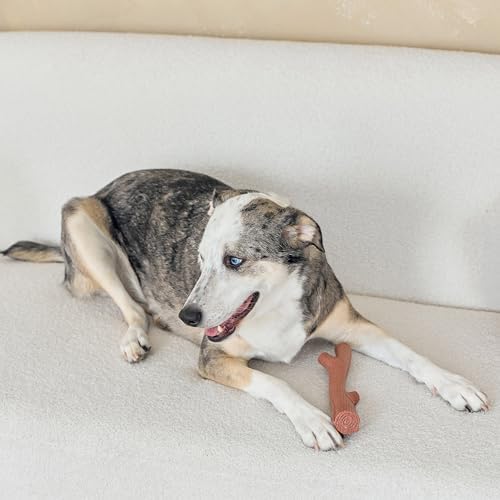 SPOT Bam-Bones Plus Branch -Bamboo Fiber & Nylon, Durable Long Lasting Dog Chew for Aggressive Chewers – Great Toy for Adult Dogs & Teething Puppies Under 90lbs, Non-Splintering, 9.5in, Beef Flavor