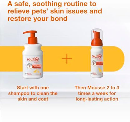Douxo S3 PYO Chlorhexidine Shampoo (6.7 oz) & Mousse (5 fl oz) for Dogs