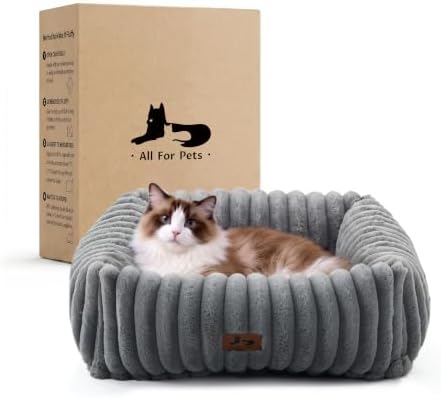 Cute Dog Bed for Small Dogs & Cats,Washable Fluffy Cat Beds for Indoor Cats, Rectangle Orthopedic Memory Foam Puppy Beds with Anti-Slip Bottom, 20 x19 x 7 Inches, Grey (20x19x6 inches)