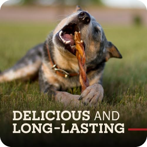 Redbarn Pet Products All Natural 5"-8" Braided Bully Sticks for Small & Large Dogs - Healthy Long Lasting Beef Chews Variety Party Pack - Single Ingredient Low Odor Rawhide Free - 8 oz Bag