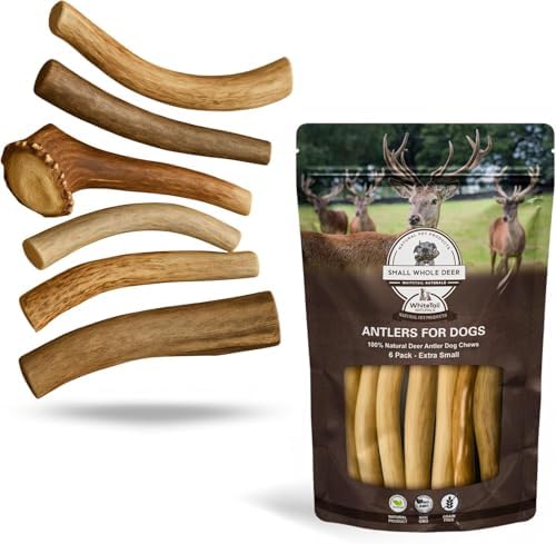 WhiteTail Naturals 6 Pack Whole Deer Antlers for Petite Dogs Up to 15 LBS