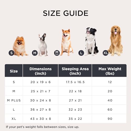 Bedsure ComfyFleece™ Cute Dog Bed for Small Medium Dogs Washable,25in Blue