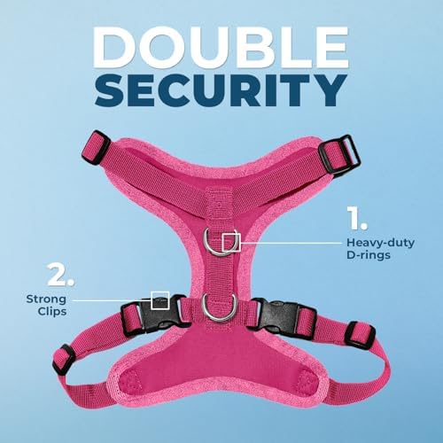 Best Pet Supplies Voyager Step-in Lock Pet Harness w Reflective Pet Leash Combo Set with Neoprene Handle 5ft - Supports Small, Medium and Large Breed Puppies/Cats - Fuchsia Set, M
