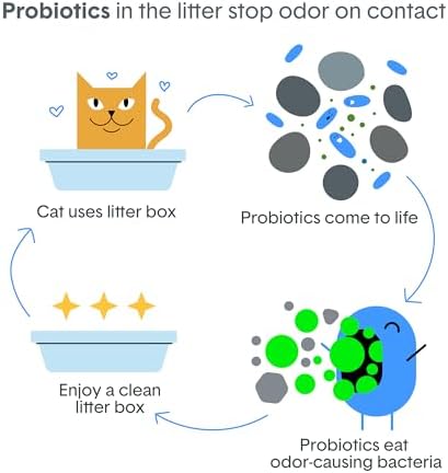 Boxie Probiotic Cat Litter, 40 Day Control, Clumping Clay Kitty Litter, Odor Eliminating Probiotics, Dust-Free, No Fragrances No Fillers, 16 lb