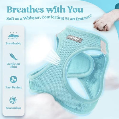 rabbitgoo Dog Harness Small Sized and Leash Set, Step-in Puppy Pet Vest
