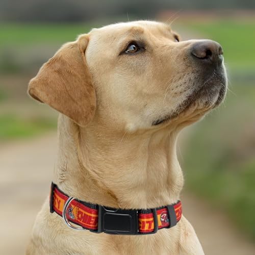 Pets First NFL Kansas City Chiefs Licensed PET COLLAR, Medium - Heavy-Duty, Strong, and Durable Dog Collar. Available in 31 Football Teams and 4 Sizes