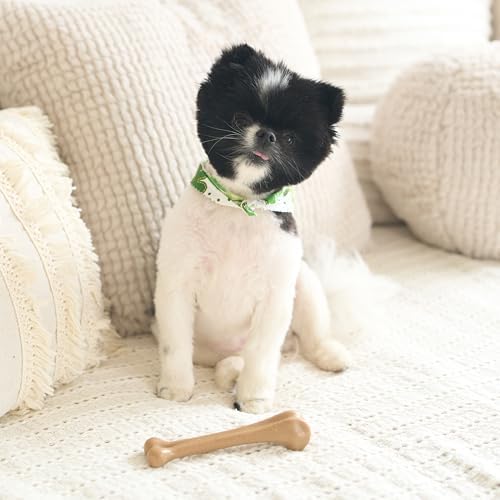 SPOT Bam-Bones Bone - Made with Strong Bamboo Fiber, Durable Long Lasting Dog Chew for Light to Moderate Chewers, Great Toy for Adult Dogs & Teething Puppies under 25lbs, 5.75in, Chicken Flavor