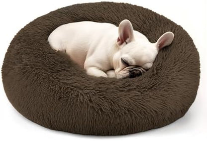 Hoewina Dog & Cat Bed, 20in Cat Beds for Indoor Cats (Coffee)