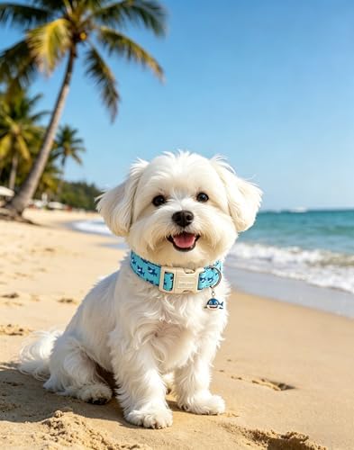 Lionet Paws Blue Dog Collar Summer Ocean Collars with Cute Sharks Pattern Pendant - Female Male Boy Dog Collar for Medium Large Dogs L