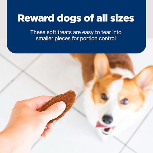 Blue Buffalo Nudges Jerky Bites Dog Treats, Made in the USA with Natural Ingredients, Bite-Sized Pieces, Chicken, 16-oz Bag, (Pack of 4)