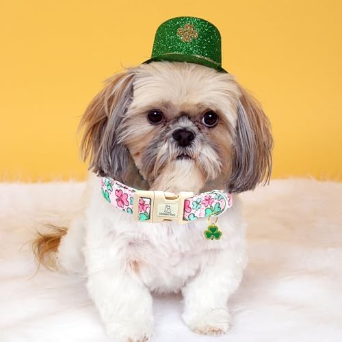 Lionheart glory St. Patrick's Day Dog Collar, Clover Collars Pink Dog Collar for Medium Dogs Spring Female Dog Collar Adjustable Heavy-Duty Dog Collar Pet Gift Plastic Buckle