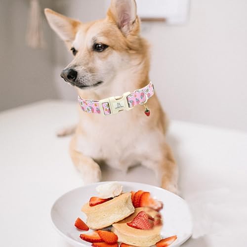 Lionheart glory Dog Collar Strawberries Print Pink Dog Collars Girl Spring Summer Cute Collar Pet Gift Durable Adjustable Dog Collar for Small Dogs