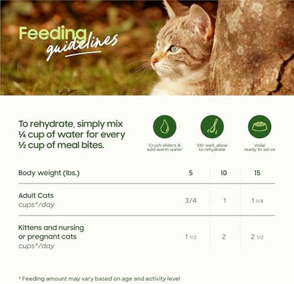 smallbatch Freeze Dried Raw Cat Food, High Protein Turkey Recipe, 10 oz