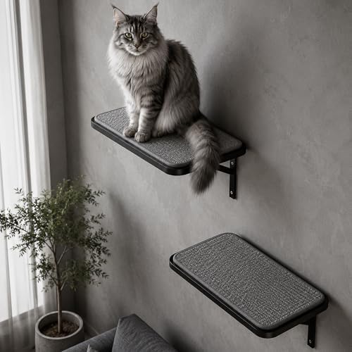 Cat Wall Shelf Window Perch, Cats Bed Hammock with Scratching Pad, Cat Shelf for Climbing Sleeping Playing,Black Furniture for Indoor Large Cats