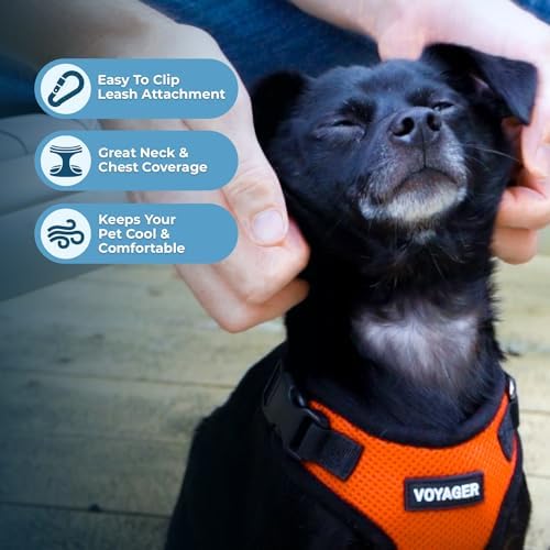 Voyager Step-in Lock Dog Harness - Orange/Black Trim, X-Large
