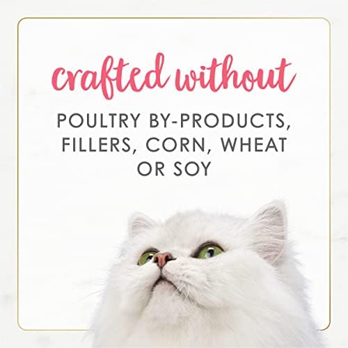 Purina Fancy Feast Grain Free Pate Wet Kitten Food (12 Pack) 3 oz Cans