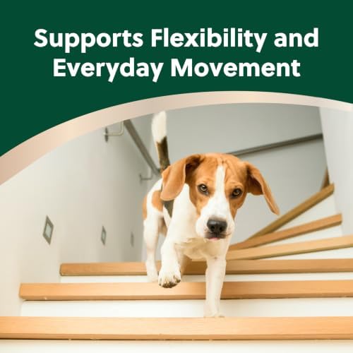 TRP-Tri-COX Soft Chews for Dogs, Hip & Joint Support Supplement with Glucosamine, MSM, UC-II Collagen & Omega-3s, Mobility & Joint Health Support, 60 Soft Chews