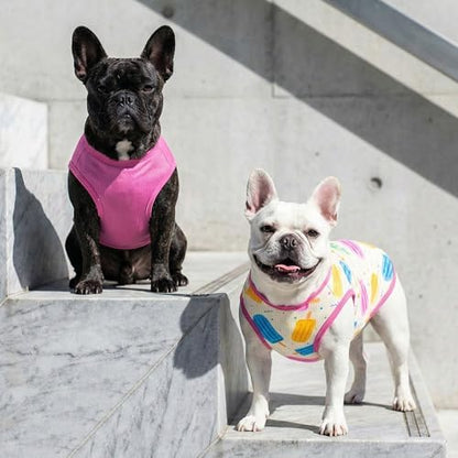 KYEESE 2Pack Dog Shirts for Small Dogs Breathable Mesh Tank Top