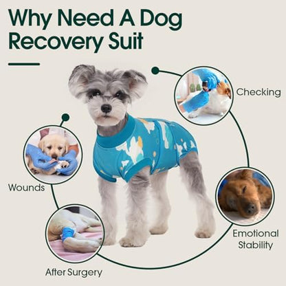 Kuoser Dog Recovery Suit, Female Male Spay Neuter Surgery Suit, Cloud, XXL