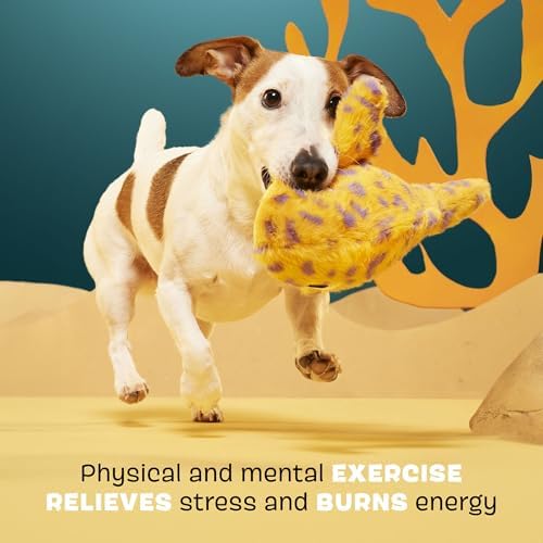 BarkBox Leopold Leopard Shark Dog Toy - Toy for Medium and Large Dogs