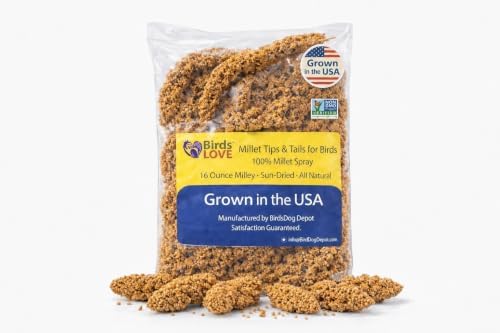 Birds LOVE® Millet Tips & Tails for Birds – Premium Spray Millet Treat, Grown in the USA – Natural & Healthy Bird Food for Parakeets, Cockatiels, Budgies, Lovebirds, Finches, Canaries & Parrots – 1 lb