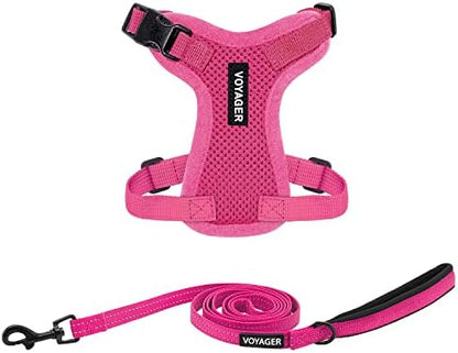 Best Pet Supplies Voyager Step-in Lock Pet Harness w Reflective Pet Leash Combo Set with Neoprene Handle 5ft - Supports Small, Medium and Large Breed Puppies/Cats - Fuchsia Set, XXXS