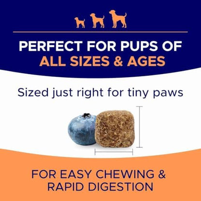 Dog Allergy Relief Chews - Anti-Itch Skin & Coat Supplement with Omega 3