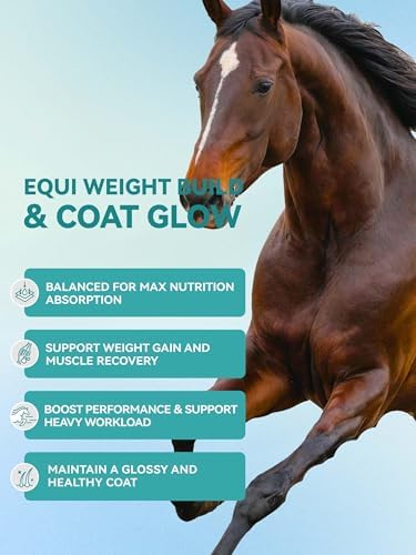 Horse Feed Topper with Flaxseed, High-Fat Feed Mix with Corn & Rice Bran, Easy-Mix Horse Feed Additive 1400g