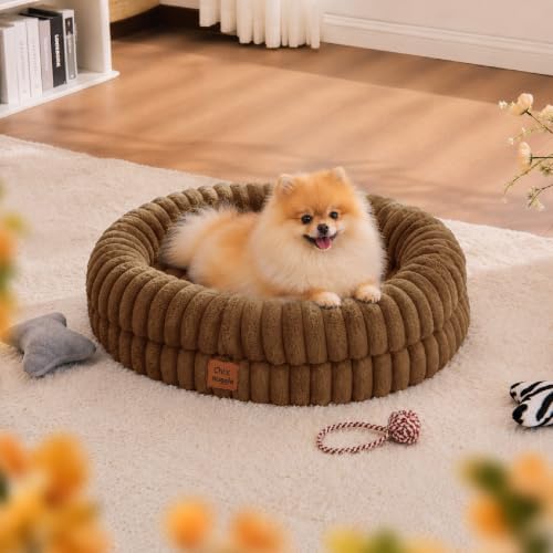 ChiXnuggle Orthopedic Dog Bed, Washable Cover, Faux Fur Bolster Pet Couch