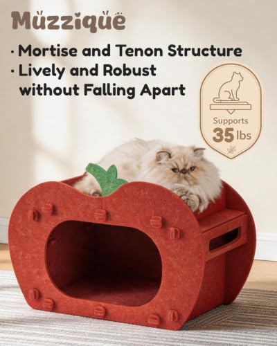 Cat Cave Bed for Indoor Cats, Red Apple Cat Hideaway House, with Perch&Toys