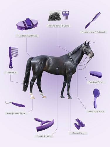 Harrison Howard Horse Grooming Kit 9 Piece with Tote Bag, Non-Slip Horse Brush Set for Shedding, Bathing, Hoof Care, Mane & Tail Grooming, Equine Grooming Supplies Purple