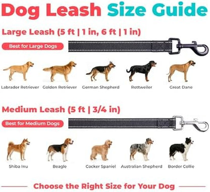 Best Pet Supplies Voyager Nylon Dog Leash - Black, Medium