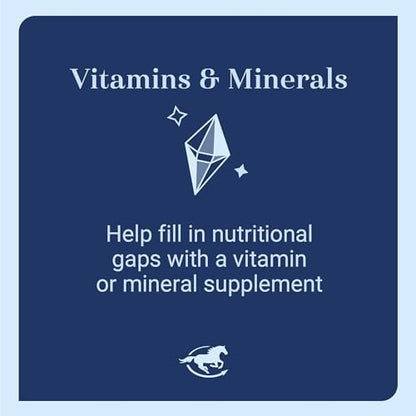 SmartEquine Nutrition Essentials SmartPak | Nutritional Supplement for Horses | Containing Essential Vitamins, Minerals, Amino Acids, and Omega 3 | Healthy Skin & Horse Coat | 28 Days Supply
