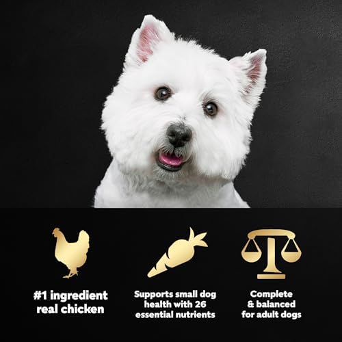 Cesar Small Breed Dry Dog Food, Chicken & Spring Vegetables Flavor, 2.7 lb